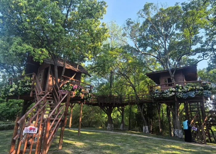 学稼公社